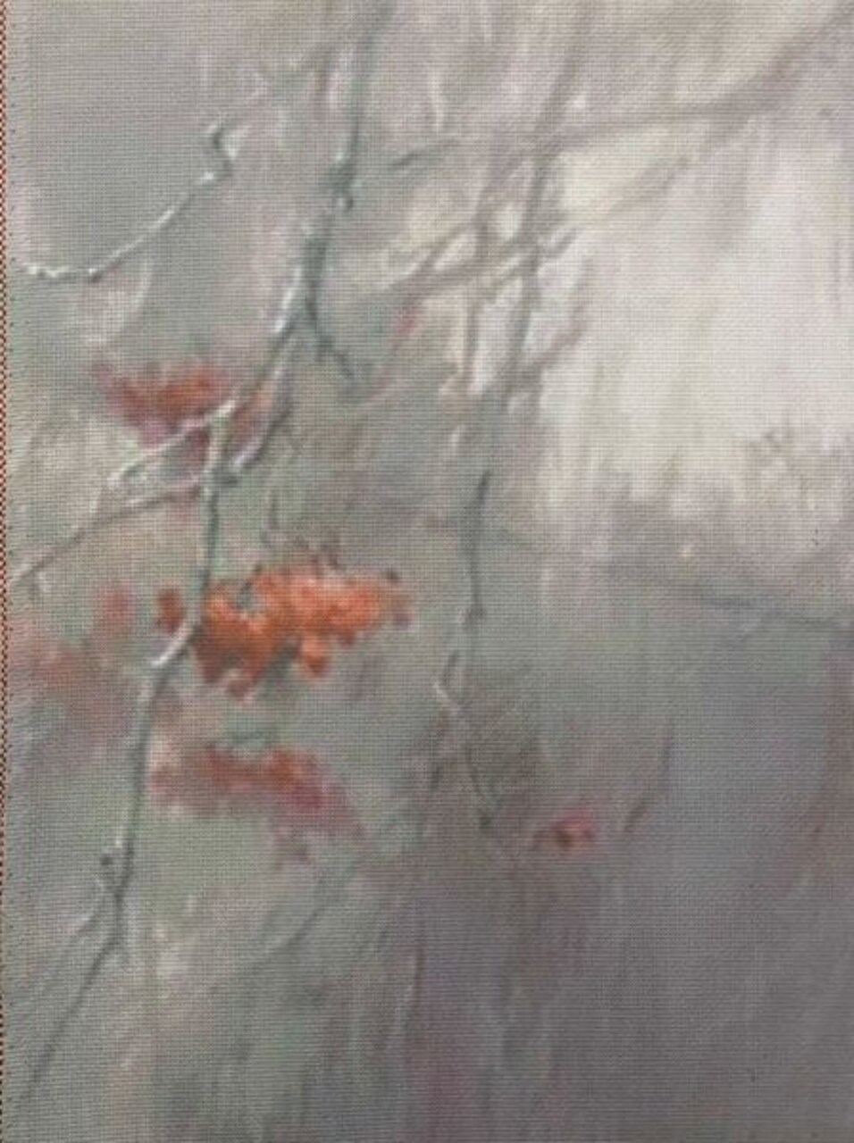 Crimson Mist Designer Printed AIDA Fabric. Canvas for embroidery with an applied background KF-1350A